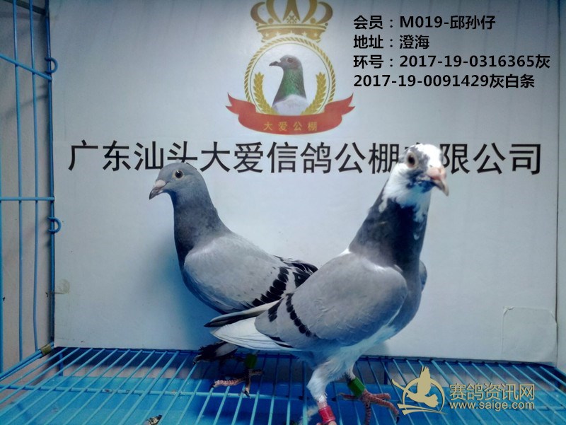 a4fb9f65-cb68-4628-a372-7394aa78319b.jpg