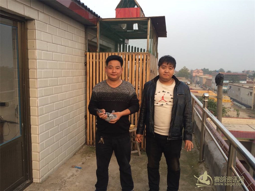 450公里前十名验棚照_俱乐部动态_赵县昊翔赛鸽俱乐部