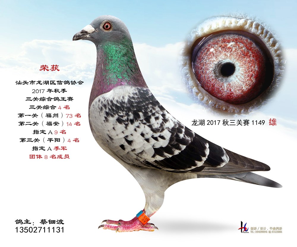 17ۺϸ 4  䲨