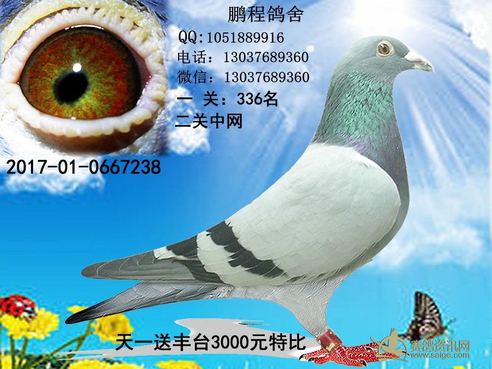 一关336名,李甫送开创,辽宁名家宋学谭送丰台3000元特比,曲美家具送