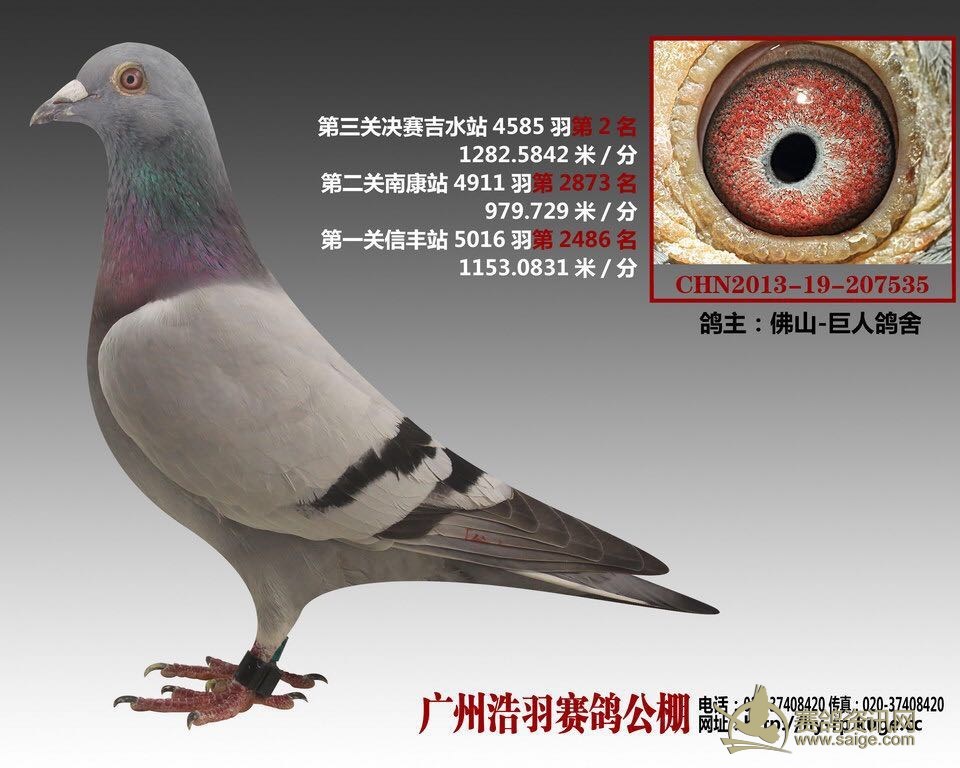 µ㶫ǿ+˸͹ݻҹ2017-19-0077776 