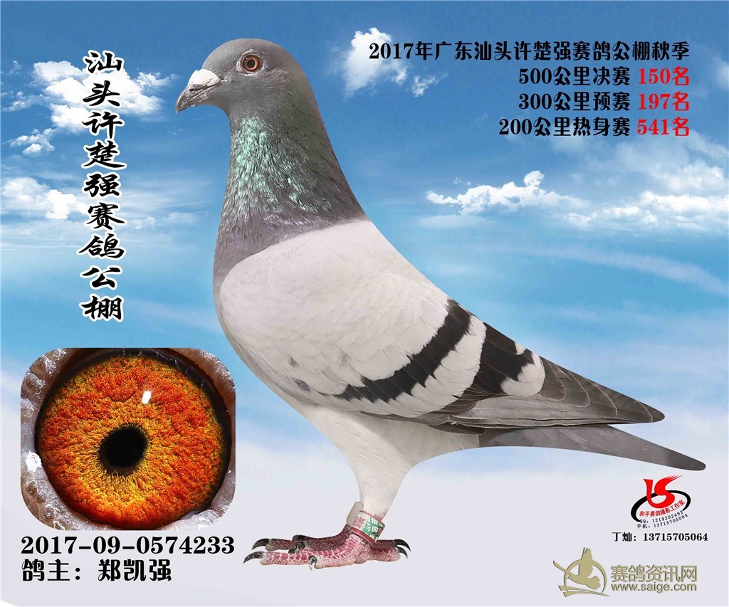 91aa7111-6b7d-415f-9e41-3bbe3d0e010d.jpg