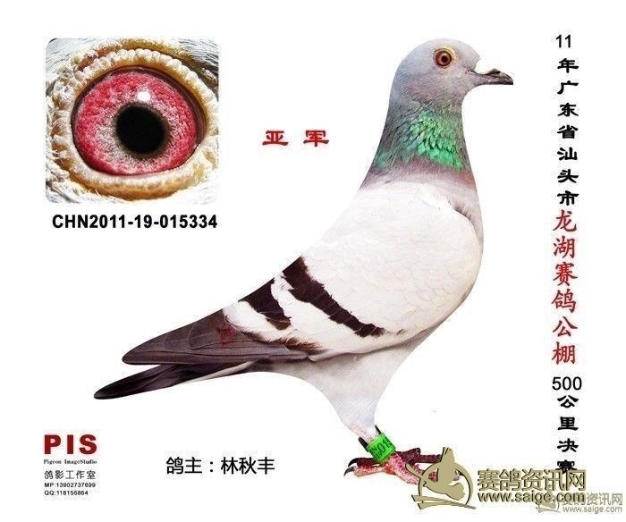 55f3e74f-9c58-4134-9da9-fe12e39a363d.jpg