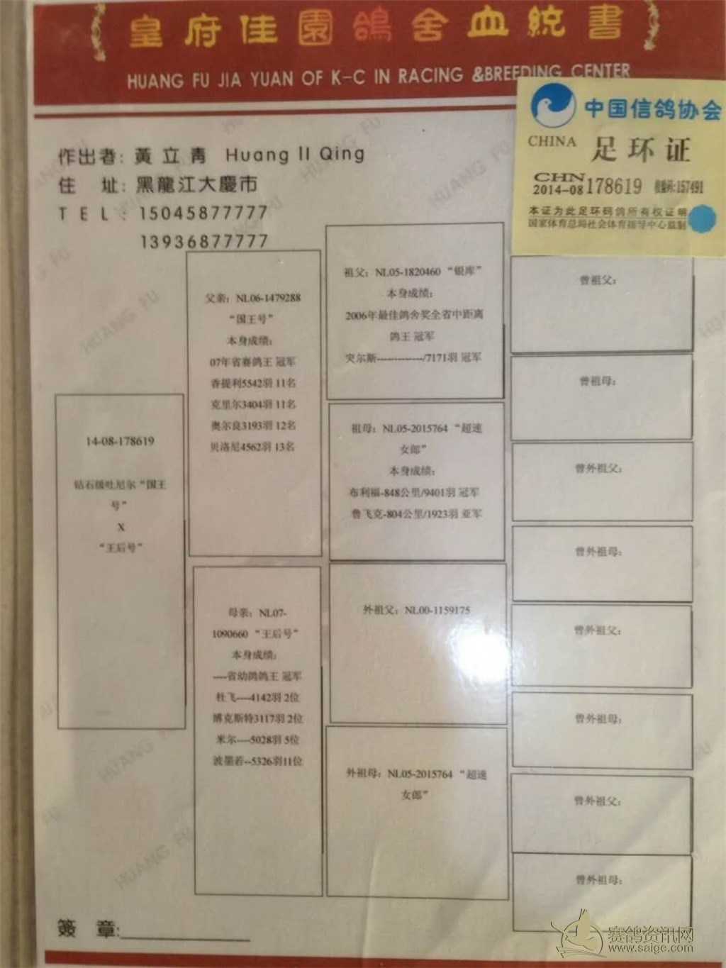 朋友清棚转让永利皇府高级种鸽已售