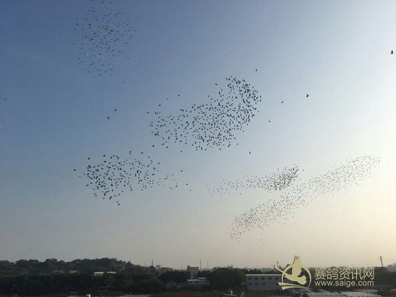 广东汕头大爱2018年1月1日家飞训练精彩视频