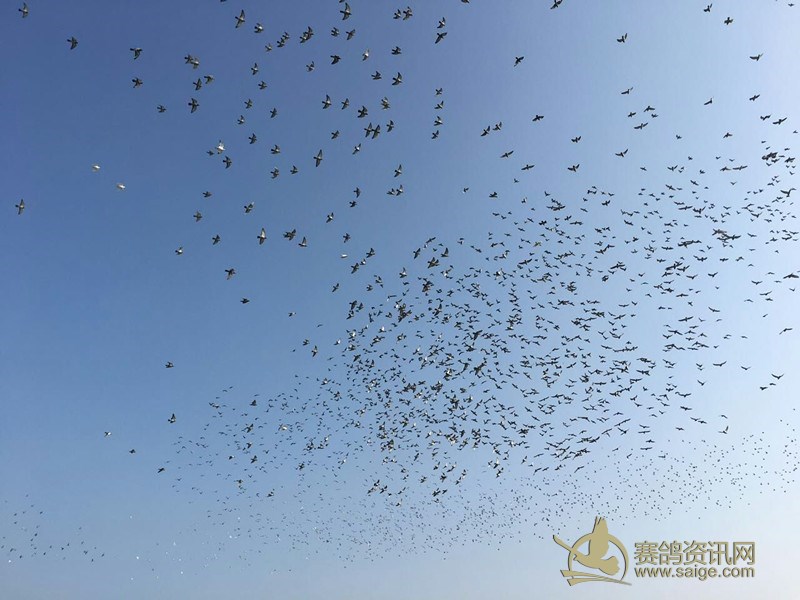 广东汕头大爱2018年1月1日家飞训练精彩视频