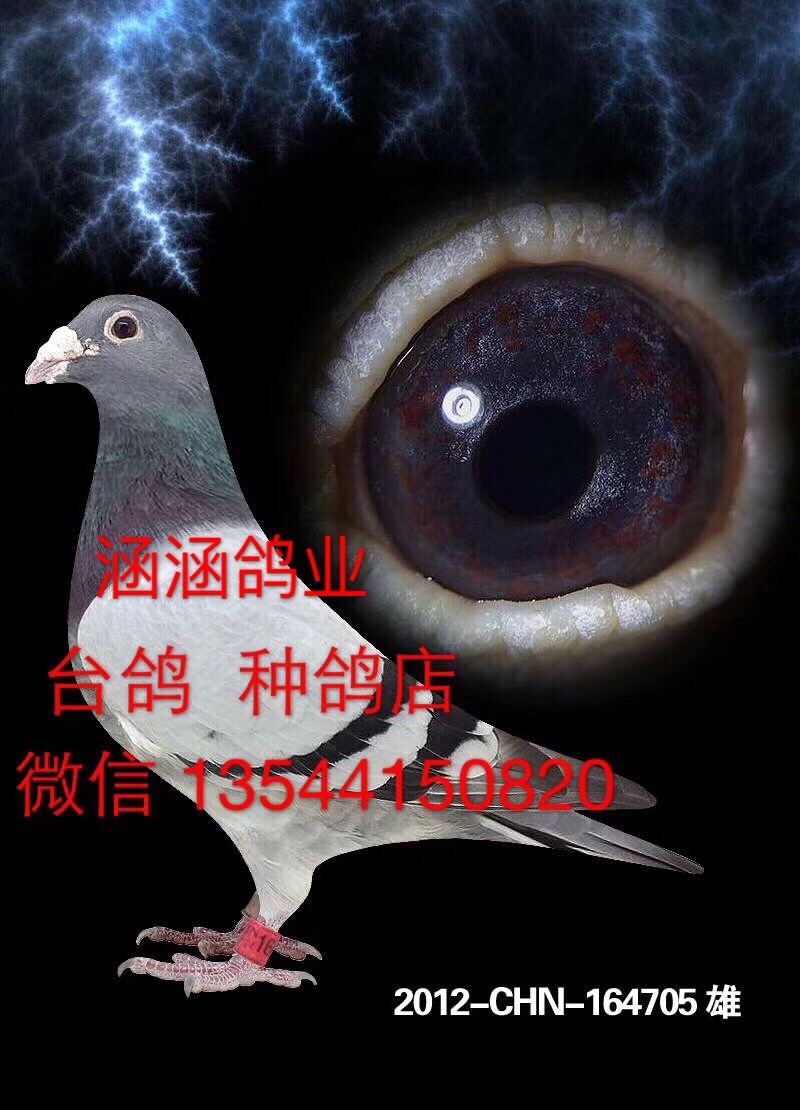 ������ҵ