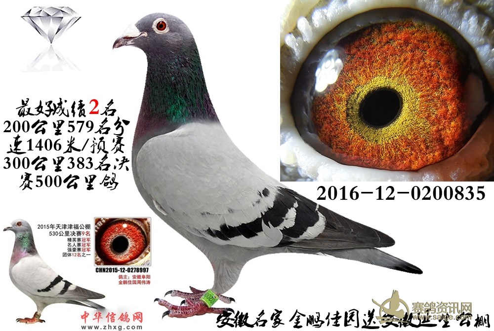 fe8c3ff0-a262-4237-9b35-ba3680713d85.jpg