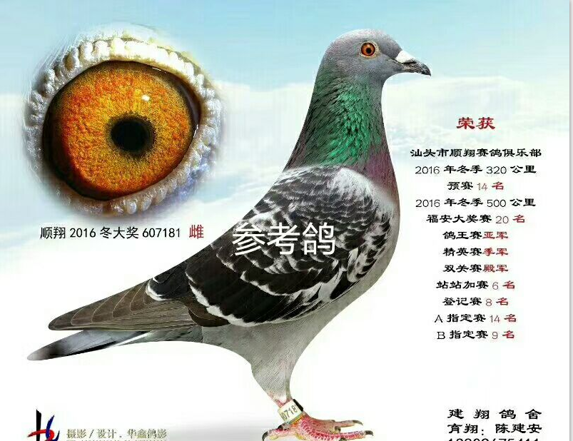 51bb979d-2ae7-4daf-9ec2-57e907762b64.png