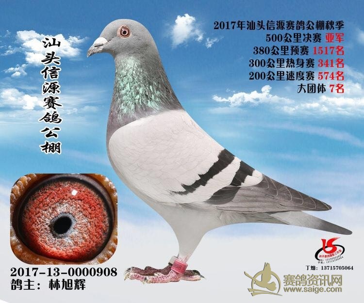 新到广东名家 潮州信鸽协会会长 金龙鸽业-林旭辉(也是广东裁判长)送