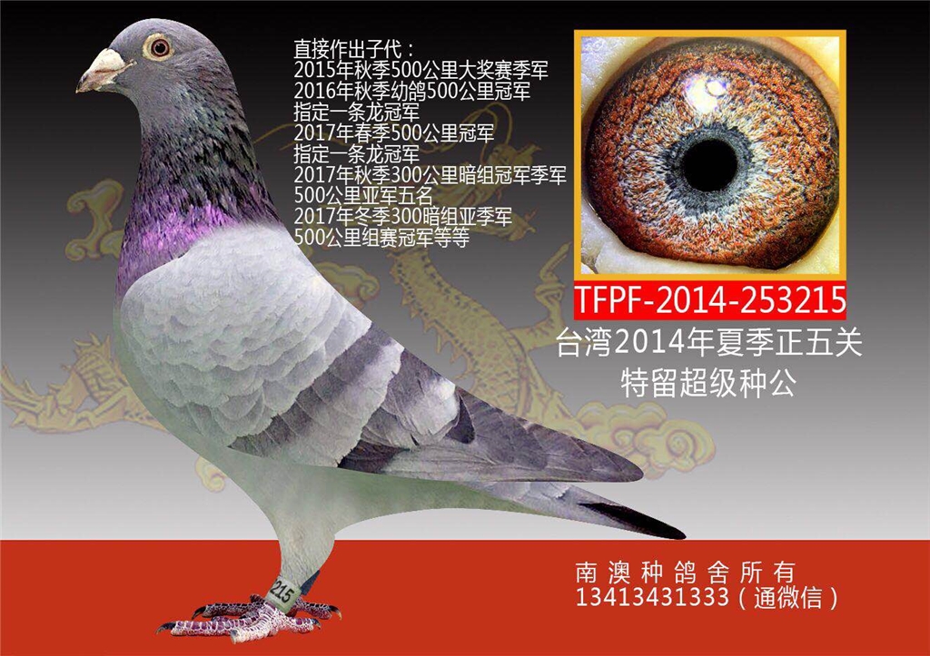 �ϰ���������