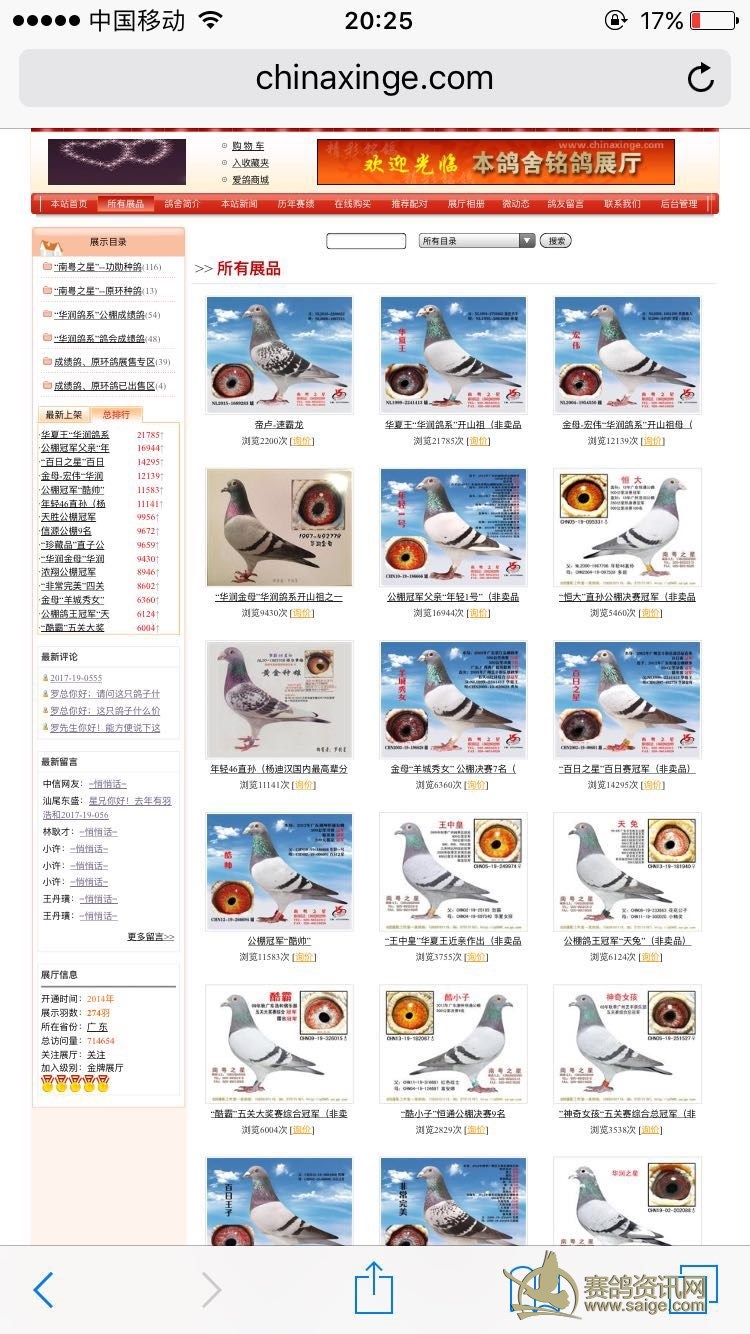 南粤之星罗剑星逃笼中网种鸽喜欢联系15813900386价高非诚勿扰已售