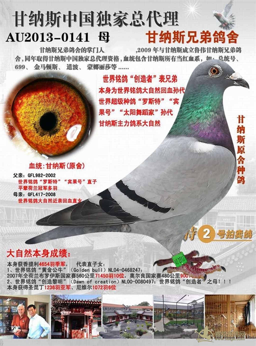 己售超级金母甘纳斯原舍,货真价实.带血统书 电话微信