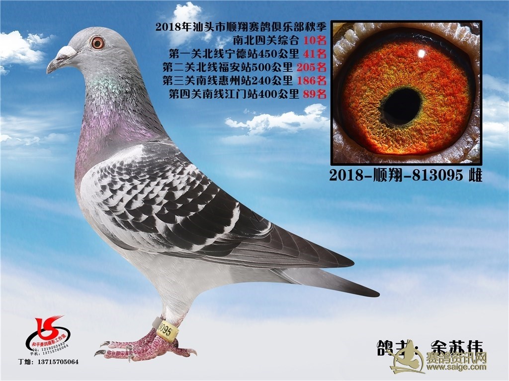 汕头市顺翔赛鸽俱乐部2018年秋季南北四关综