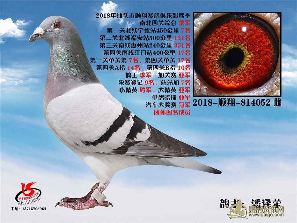 汕头市顺翔赛鸽俱乐部2018年秋季南北四关综