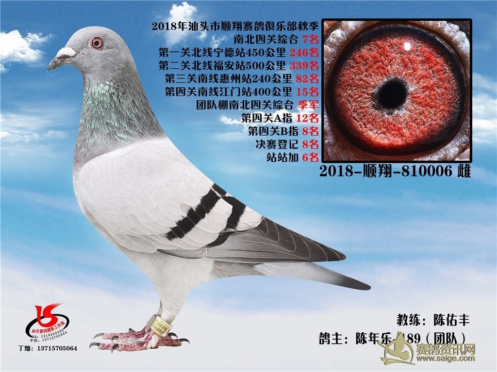 汕头市顺翔赛鸽俱乐部2018年秋季南北四关综