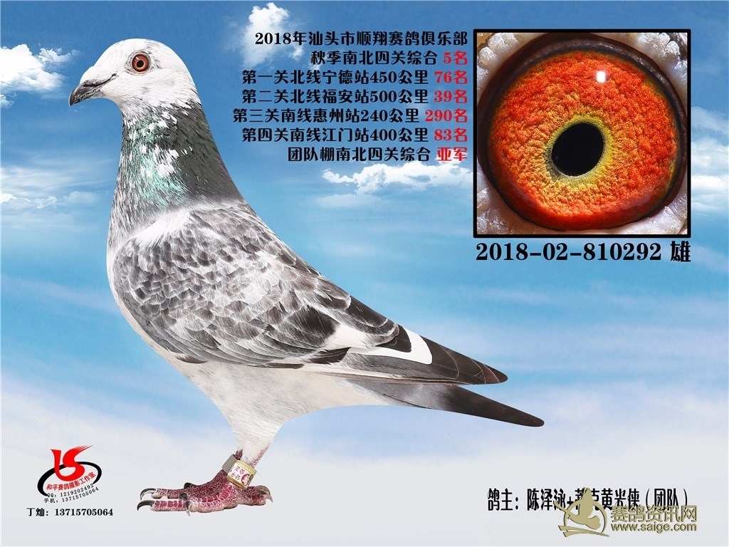 汕头市顺翔赛鸽俱乐部2018年秋季南北四关综