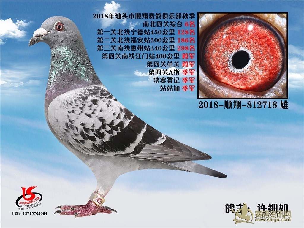 汕头市顺翔赛鸽俱乐部2018年秋季南北四关综