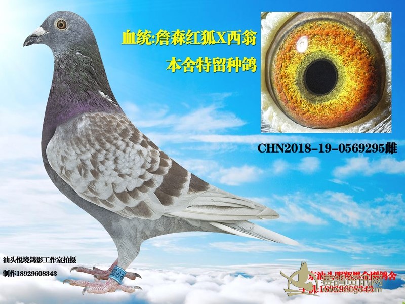 7097d72c-3169-4dc8-b7f5-49f04412dc57.jpg