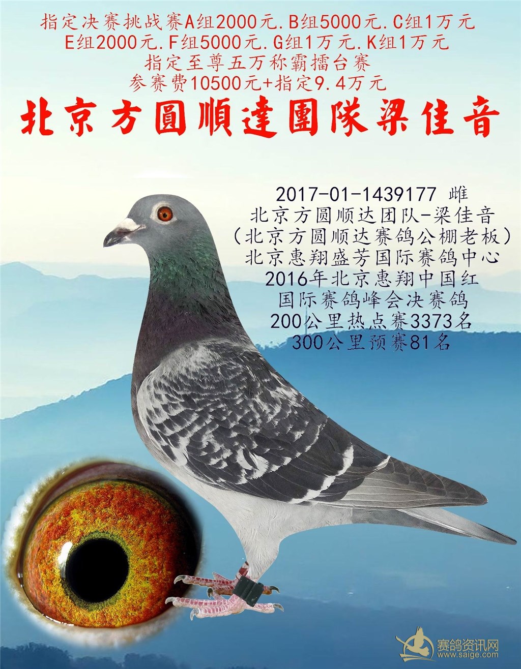 北京方圆顺达团队梁佳音2017年北京惠翔300公里预赛81名已售青海铁鹰