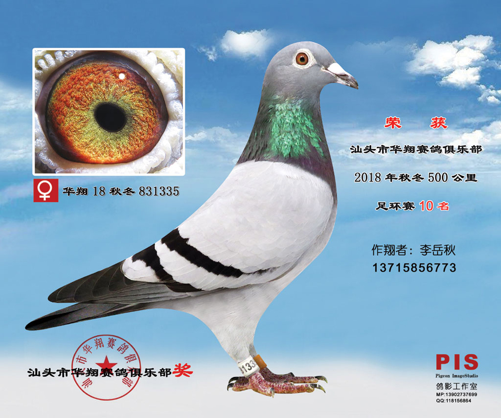 18ﶬ500㻷10 