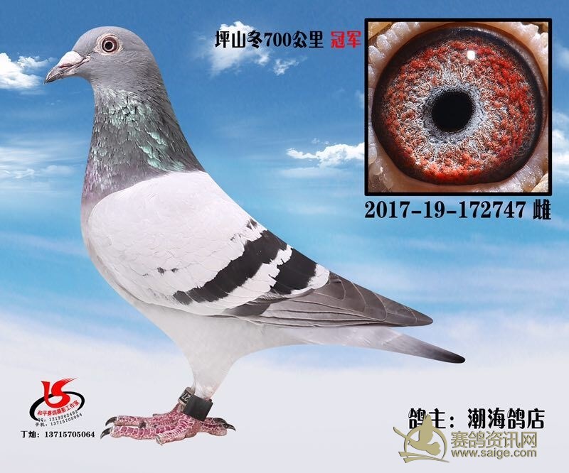 ����̨���