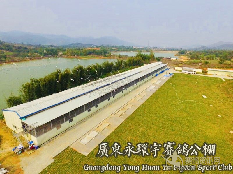 广东永环宇赛鸽公棚整体基建鸟瞰图及内饰设计图