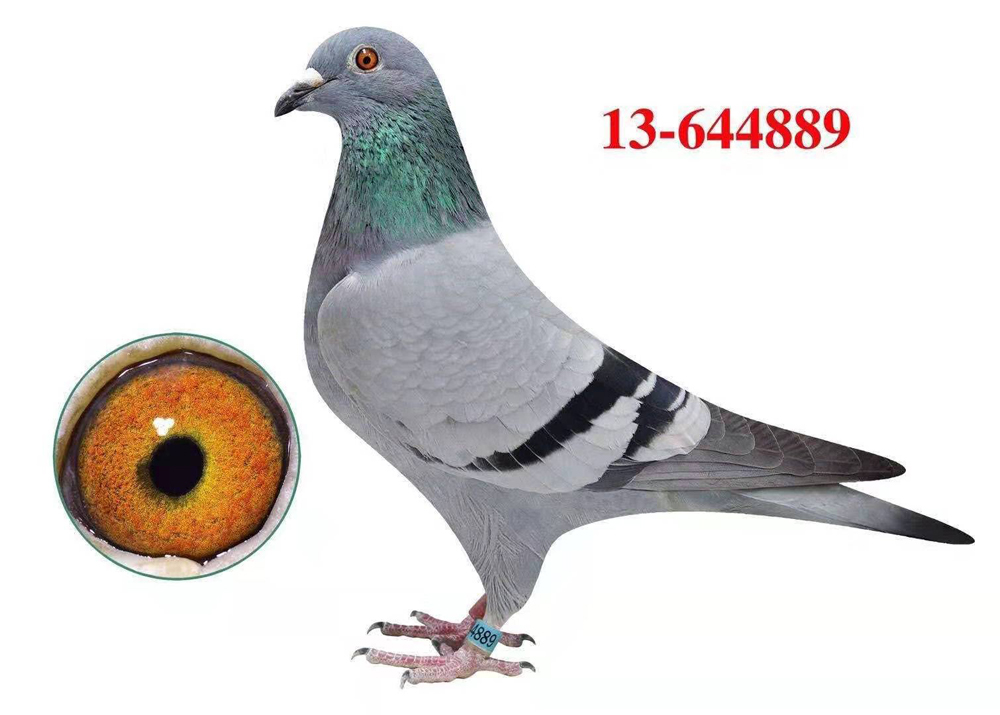 ̨UϿֲ59ЂS