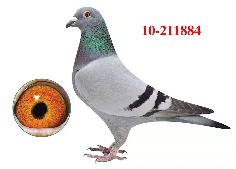 ̨UϿֲ59ЂS