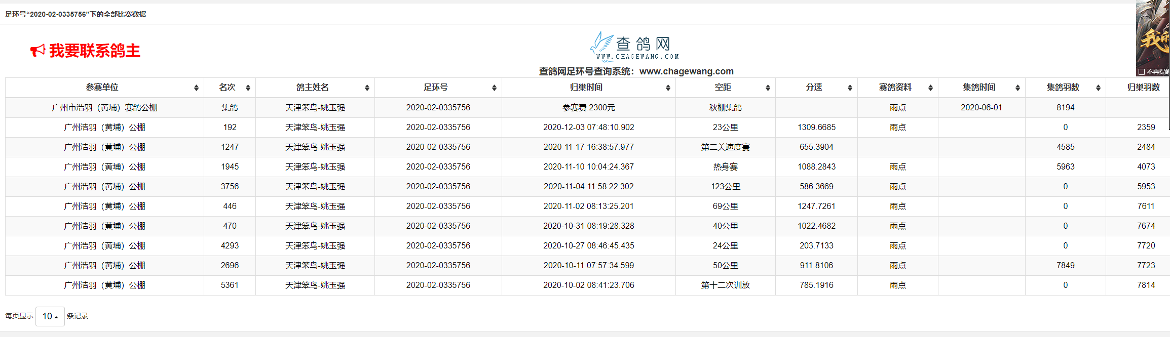 黄埔公棚知名笨鸟鸽舍姚玉强