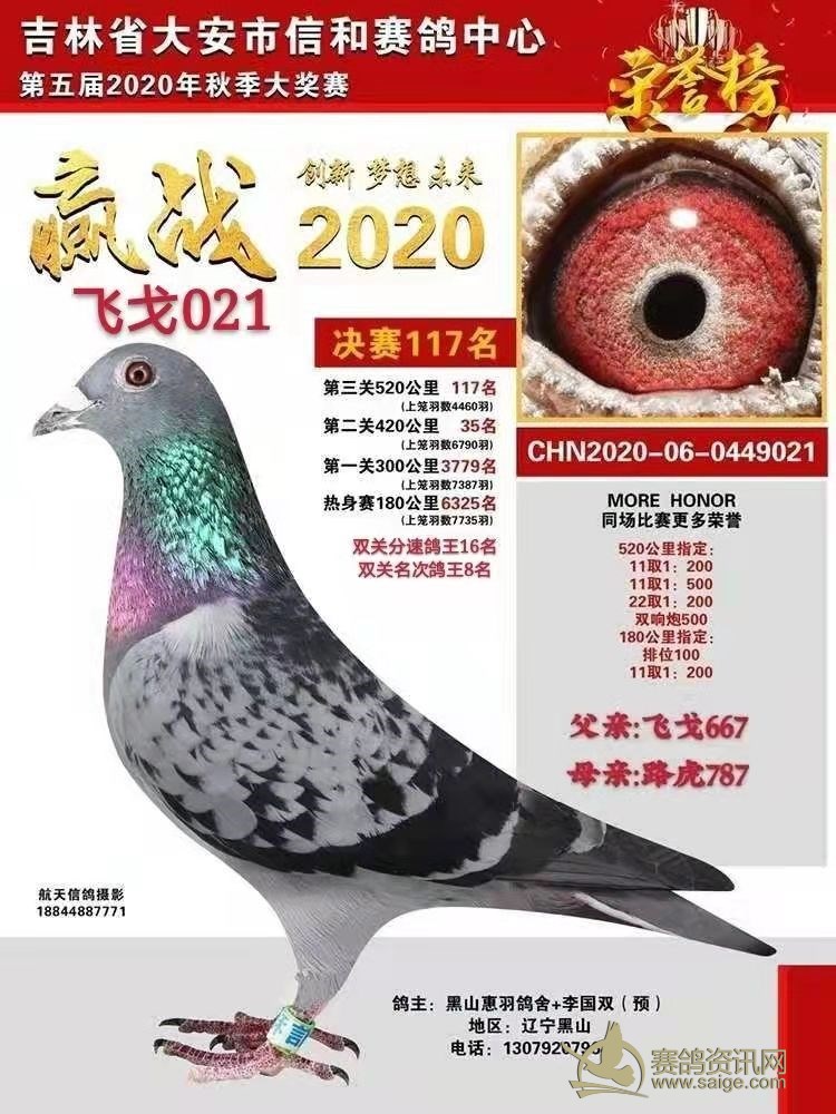 直子:飞戈082,2021年获得辽宁天一公棚决赛822名.