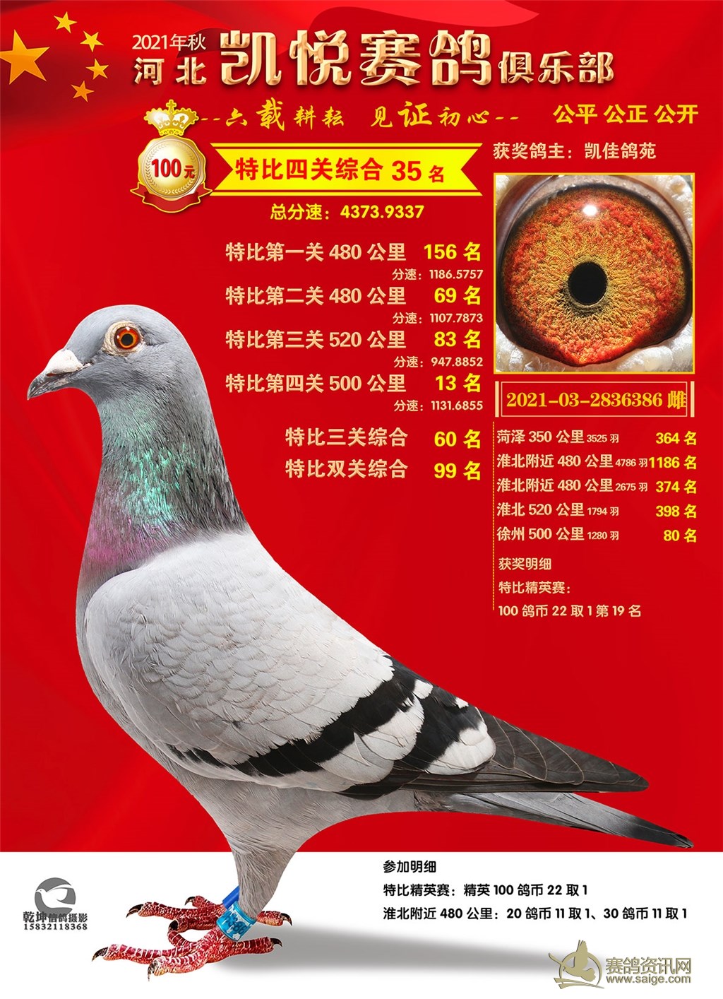 2021年秋凯悦赛鸽俱乐部100特比环照片