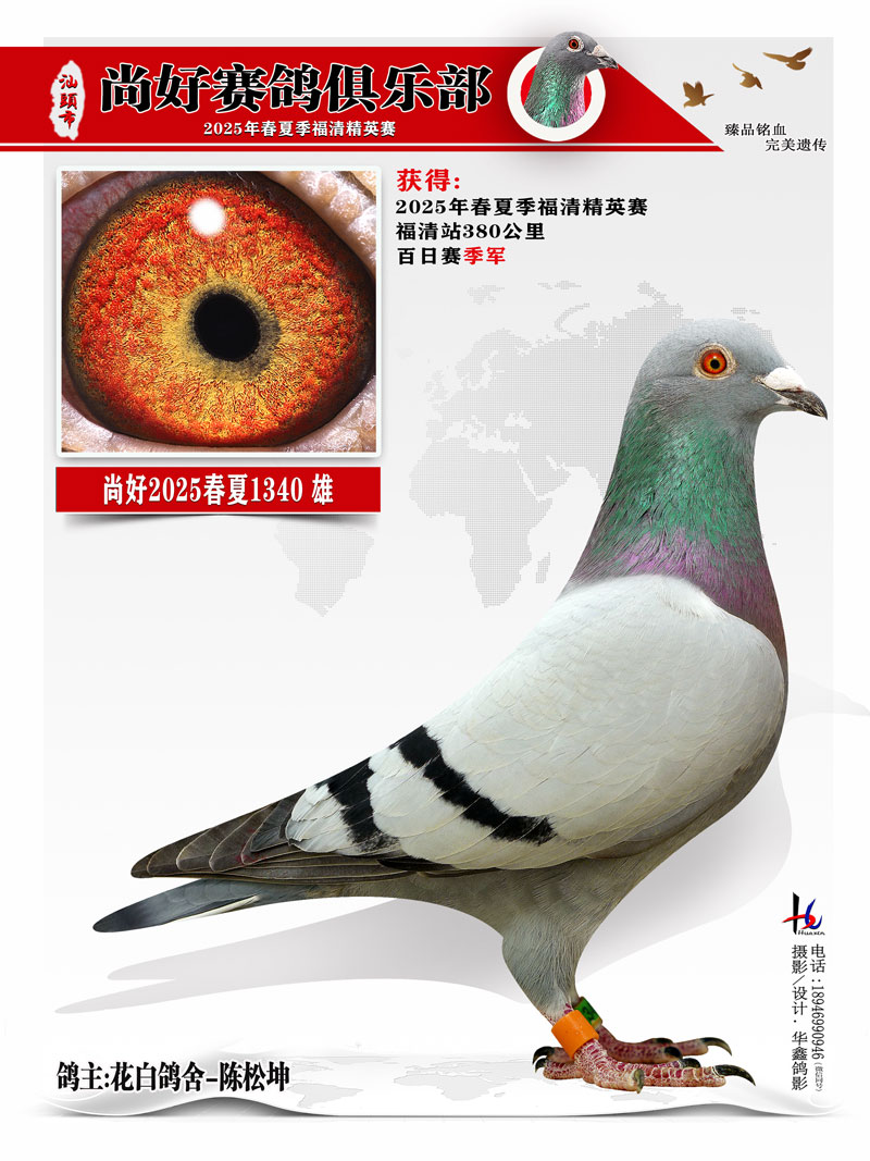 25ĸ徫Ӣ ׸-