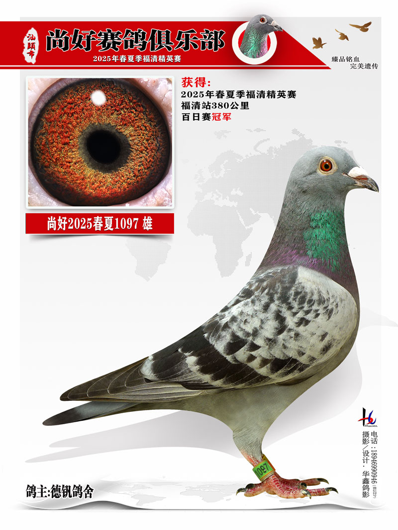 25ĸ徫Ӣھ ·