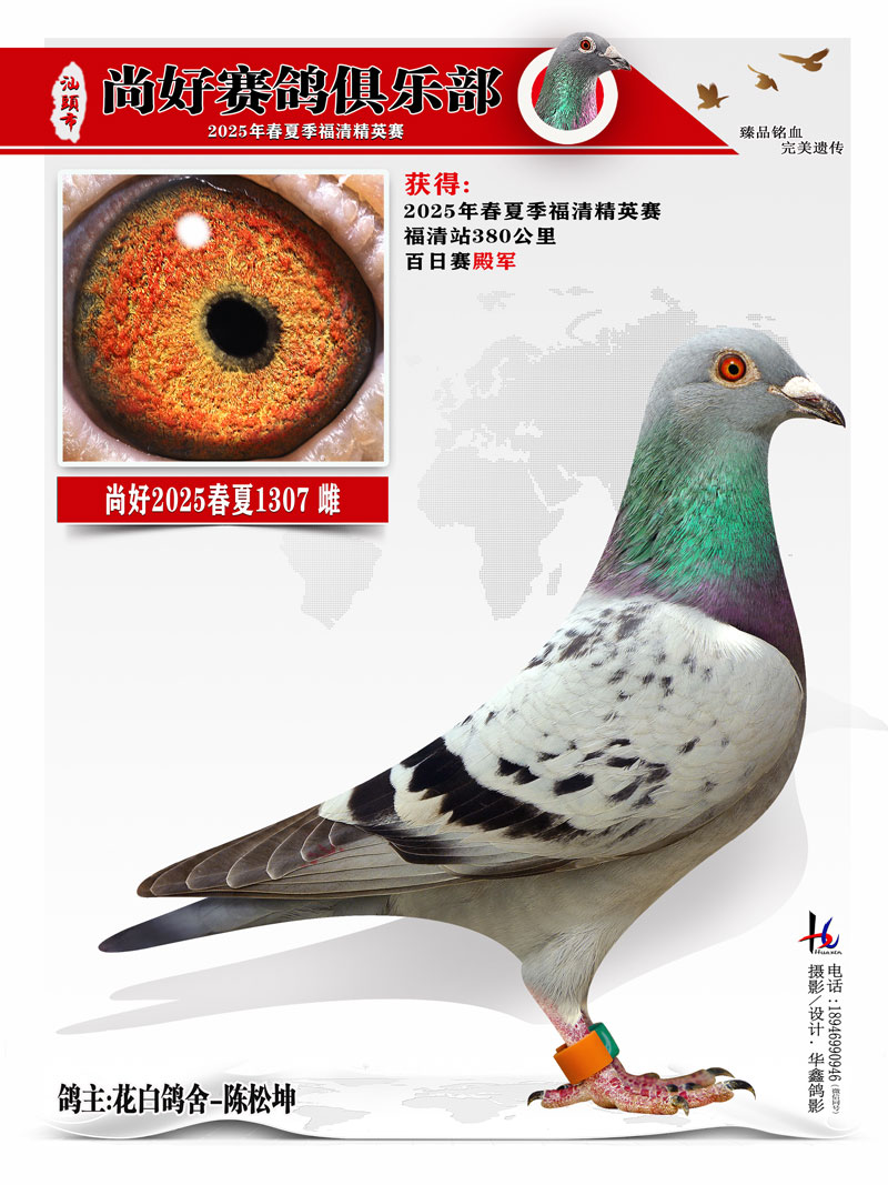 25ĸ徫Ӣ ׸-
