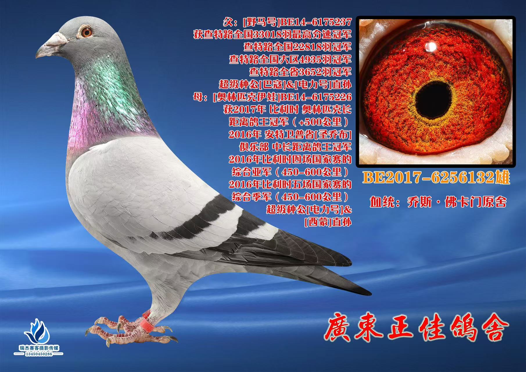 ���š�Ұ���š�ֱ��