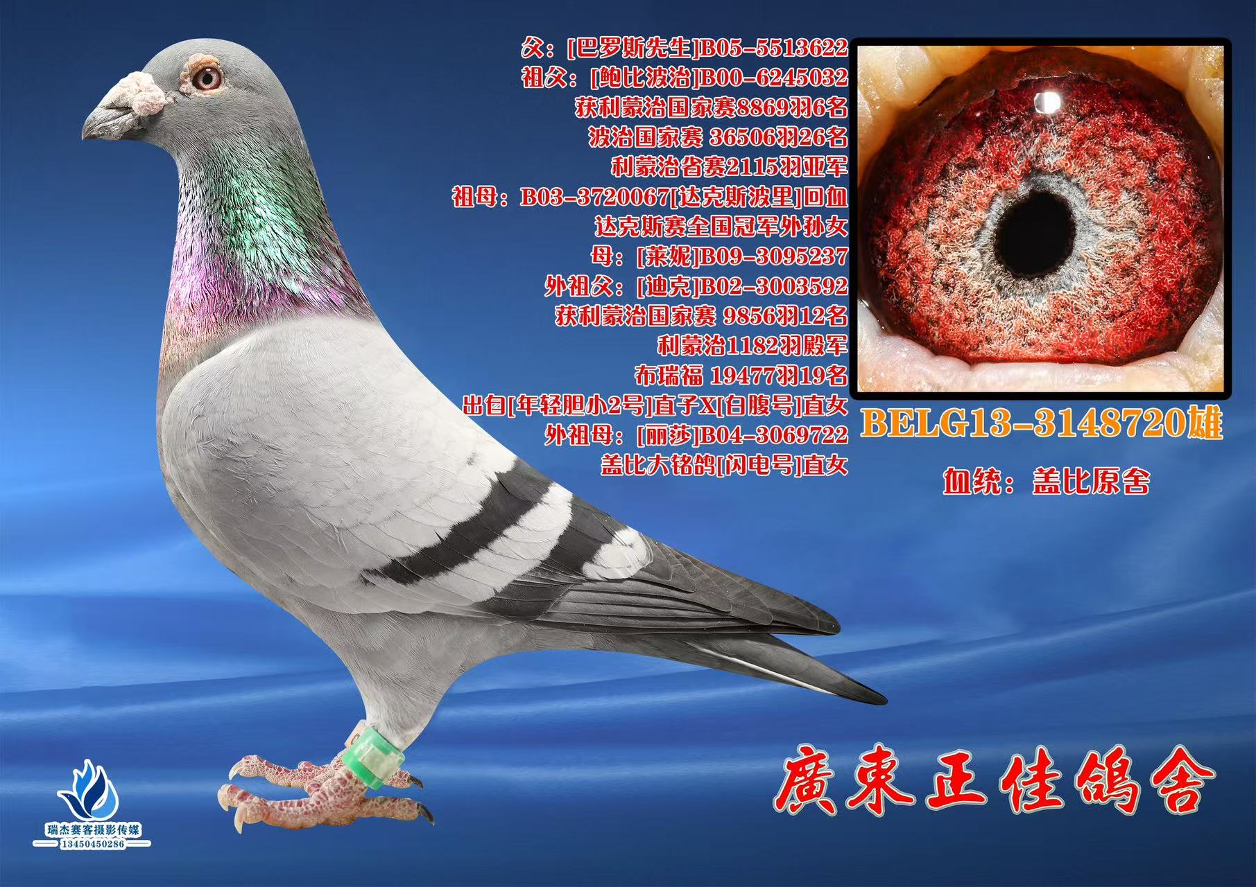 �Ǳ�ԭ��3148720