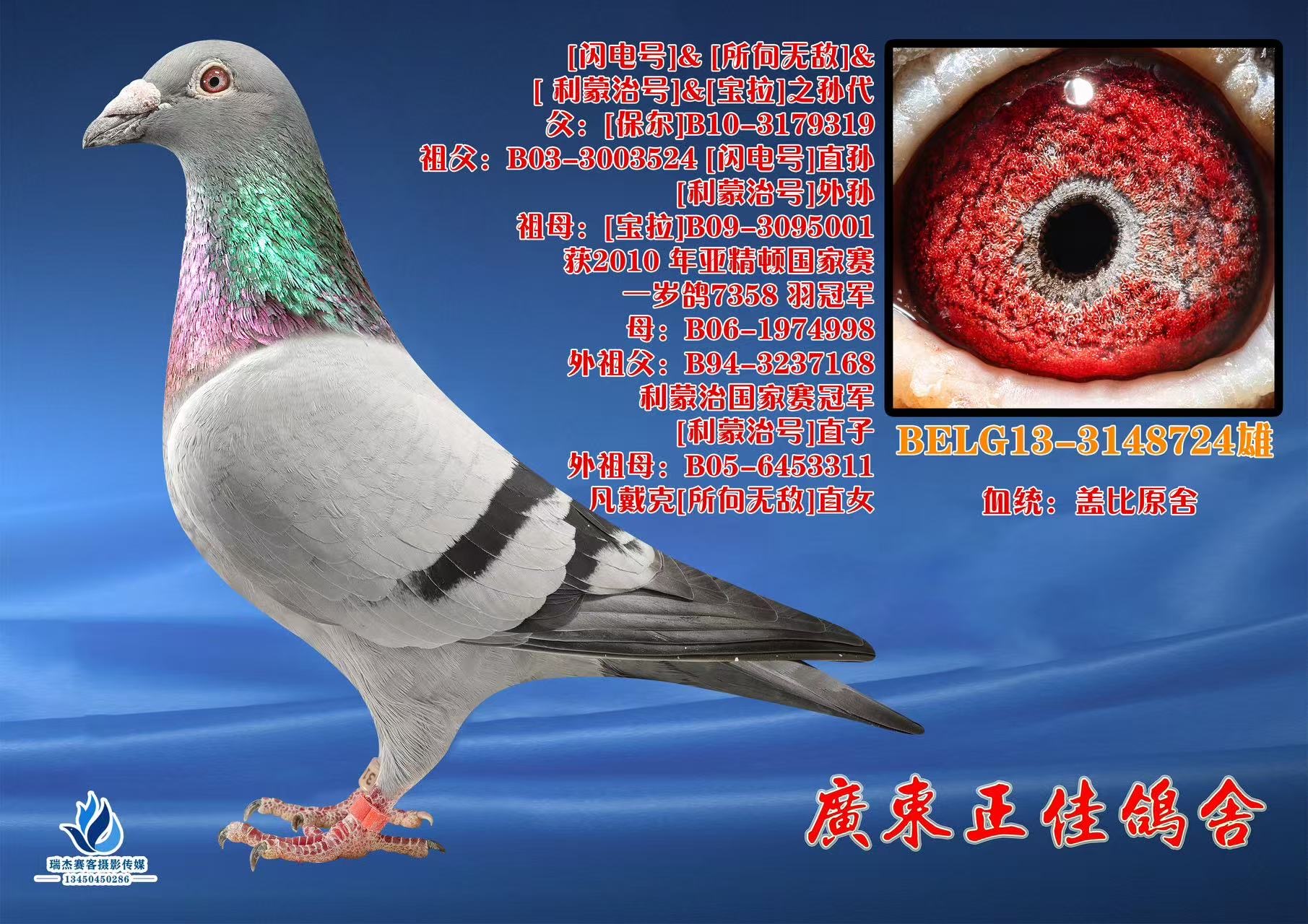 �Ǳ�ԭ��3148724