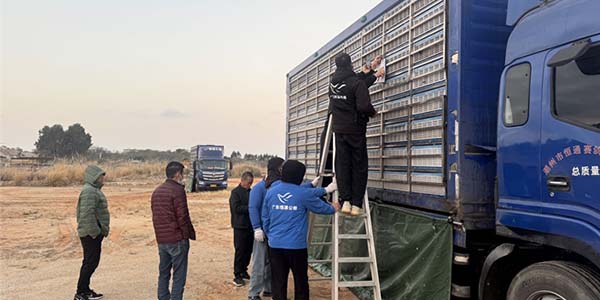 广东恒通（春棚）2026年第四届第二关速度赛精彩图集