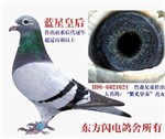 头相