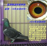 头相