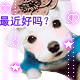 头相
