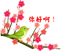 头相