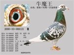 头相