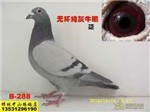 头相