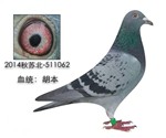 头相