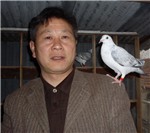 头相