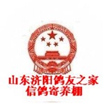 头相