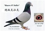 头相