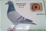 头相